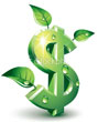 Your Income