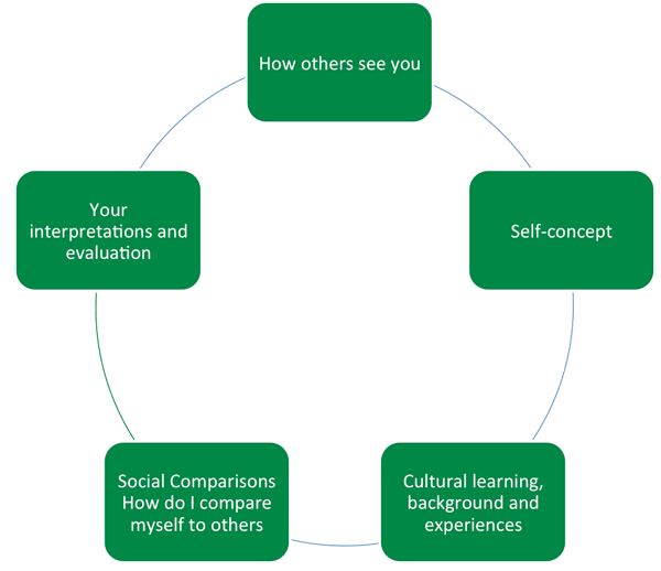 Self Concept