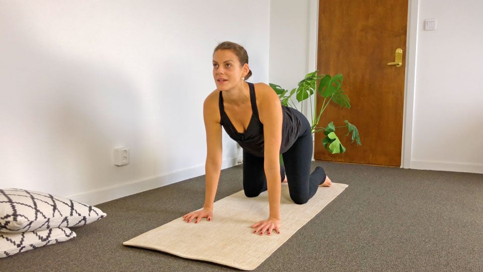 Yoga class: Gratitude wake-up-the-body flow
