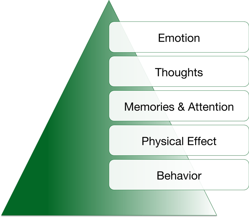 The components of your emotions
