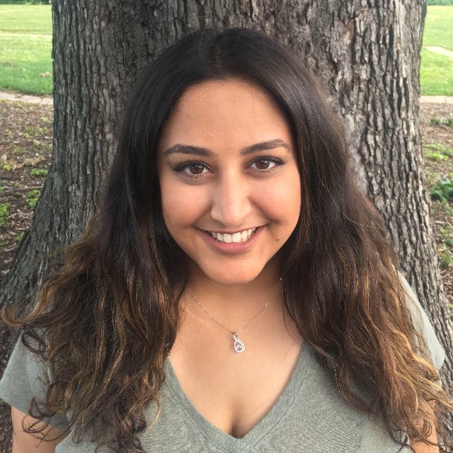Sepideh Pourhassani (MA, LPC-MHSP, NCC)